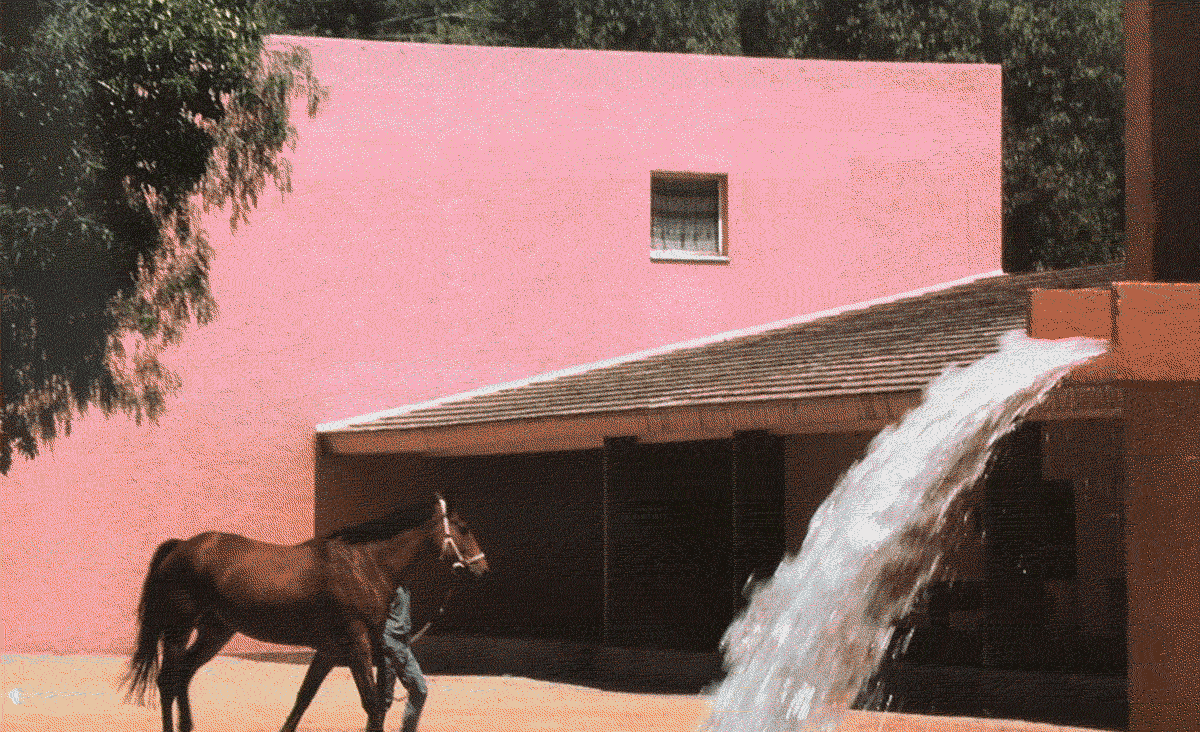$50k Apple sneakers ☼ The tiny web ☼ A magical vinyl shelf
