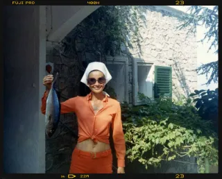 A quaint business idea ☼ A very hot drum machine ☼ A lamp worth bankrupting yourself over