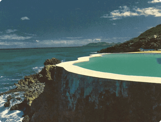 A Jungle Oasis ☼ Black Utopia: Tyler Mitchell ☼ Cutting-Edge Furniture