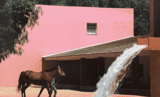 $50k Apple sneakers ☼ The tiny web ☼ A magical vinyl shelf