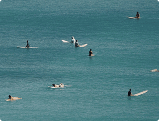 Legends of Chateau Marmont ☼ Creative Chameleon: Pharrell ☼ News from Poolsuite